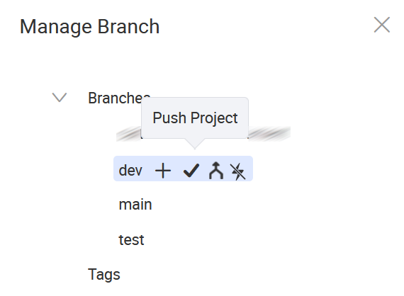 Push Project from the Manage Branch window